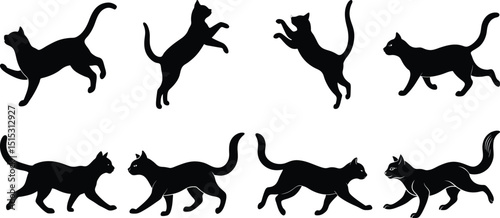 Photography set of black silhouettes cats