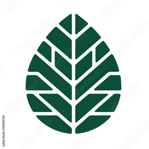 Green leaf vector illustration is a natural icon symbol