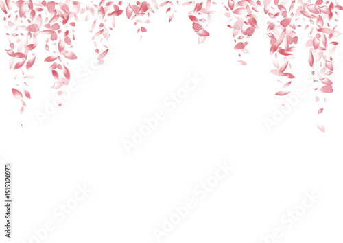 2400x1700grad17__Pudra_sakura2_01.eps