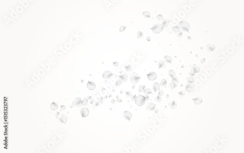 White_petals_gray_background_677.eps