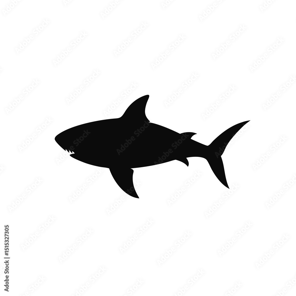 Obraz premium shark vector illustration
