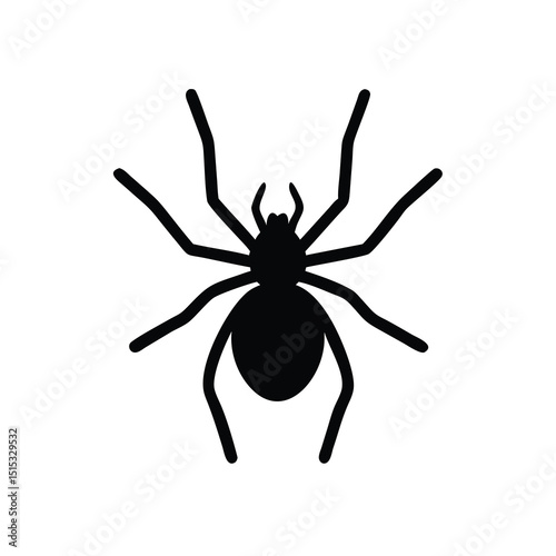 spider on a white background