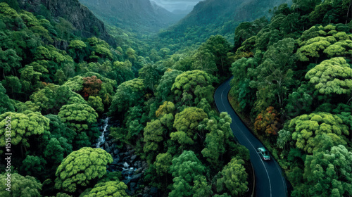Drone shot of an eco-friendly car traversing a forest highway. Green logistics and sustainable transportation in nature.