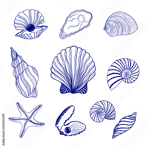 Vector illustration of seashells, oyster shells with pearls, and starfish in a hand-drawn blue line art style. Marine-themed decorative elements, perfect for summer and ocean designs, packaging, cards
