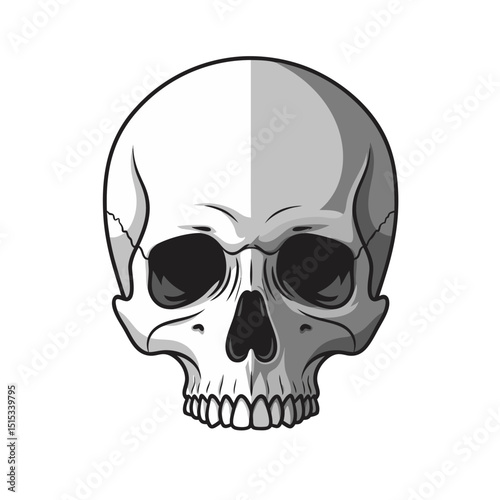 Detailed skull illustration in monochrome graphic style  