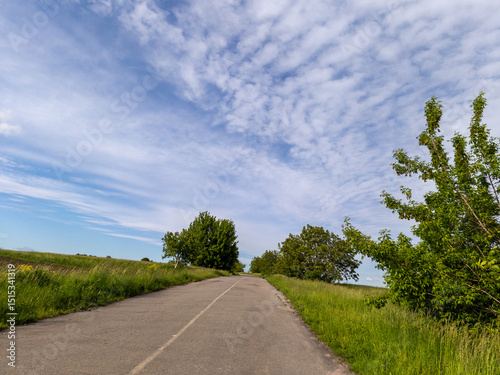 A paved road in the middle of a grassy field with trees and bushes
