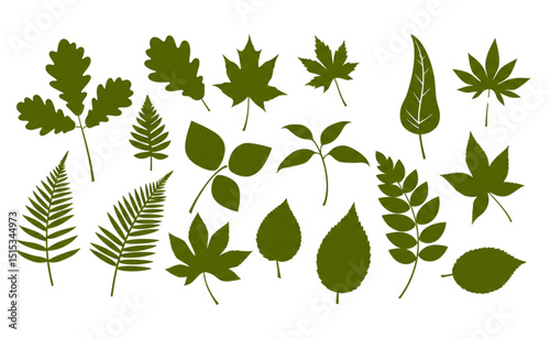 A collection of diverse leaf silhouettes perfect for logo design branding or nature themed projects offering scalable graphic elements