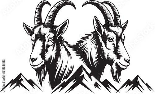 Majestic Mountain Goats