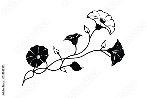 Elegant black and white line art morning glory flowers