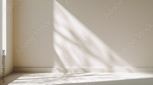 Minimalist interior showcasing soft shadows and natural light in a serene space