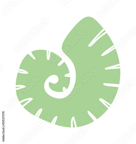 Tropical shell nautical boho element