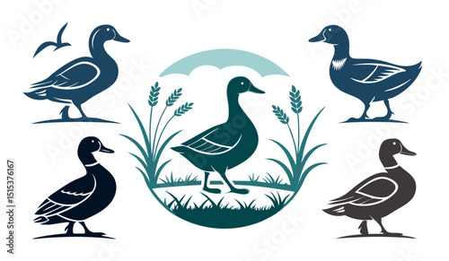 Elegant Duck Vector Set: Waterfowl Illustrations for Your Designs
