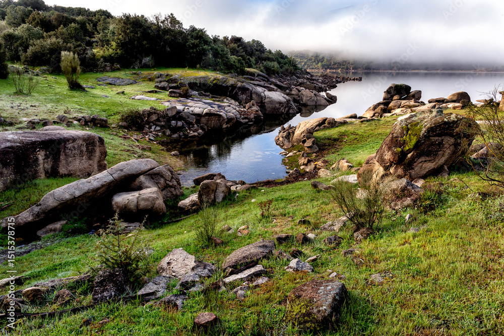 Fototapeta premium Niebla en el pantano