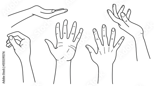 Hand Gestures and Women Palms Line Vector Illustration Set