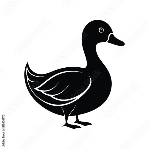duck vector illustration