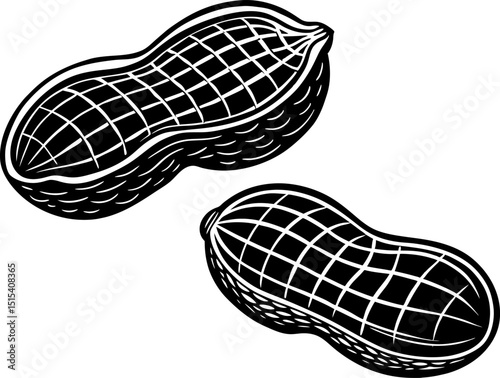 Silhouette of a peanut in shell. Peanut nut seed vector. Isolated on white background. Peanut butter food ingredient. Engraved hand drawn peanut illustration in retro vintage style.