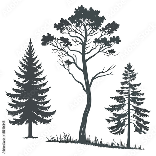 Elegant black silhouettes of various trees and grass for nature and landscape designs