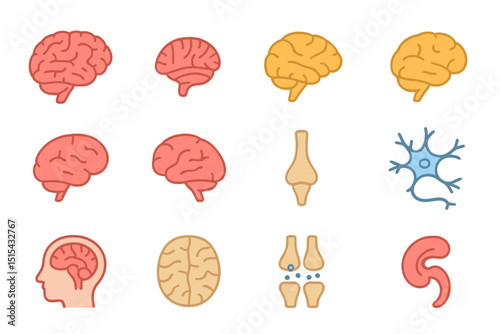 Illustrated brain components with neurons, synapses, and brain sections