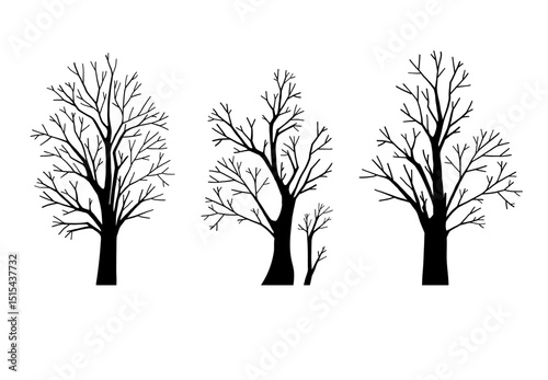 Forest tree illustration, leafless silhouette with fairy tale aesthetic, dramatic woodland graphic for spooky gothic designs, textile patterns, wood art, autumn, winter, Halloween projects clipart