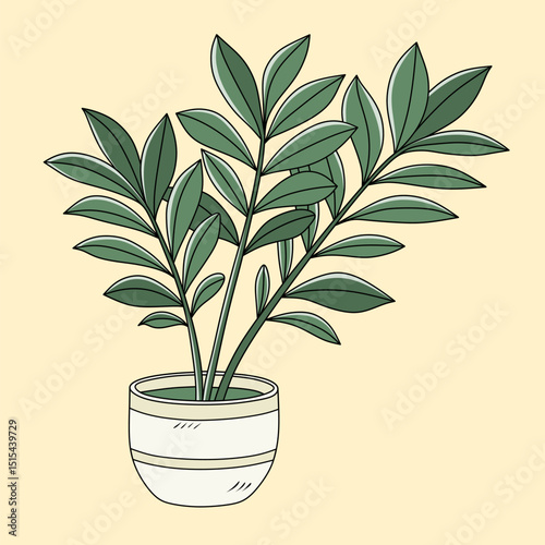 Decorative plant Zamioculcas zamiifolia. Indoor ZZ plant vector illustration