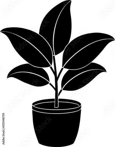 vector illustration of a Decorative plants