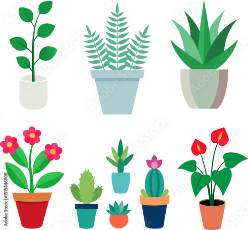 set of flowers in pots