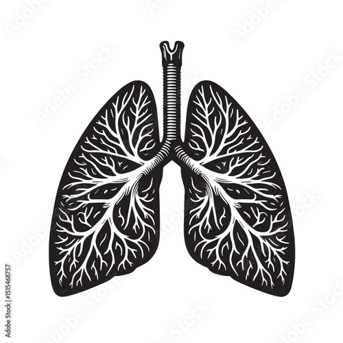 Black Color Lungs illustration anatom Vector Illustration, Solid White Background