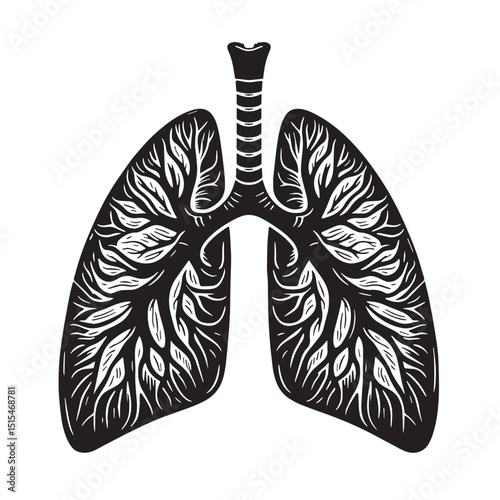 Black Color Lungs illustration anatom Vector Illustration, Solid White Background