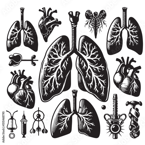 Black Color Lungs illustration anatom Vector Illustration, Solid White Background