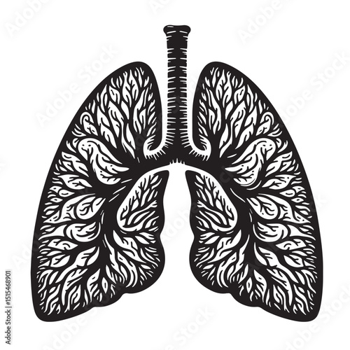 Black Color Lungs illustration anatom Vector Illustration, Solid White Background
