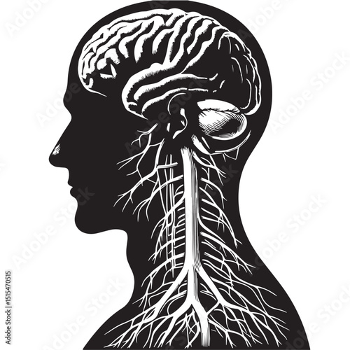 Black Color Nervous system Vector Illustration, Solid White Background