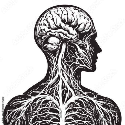 Black Color Nervous system Vector Illustration, Solid White Background