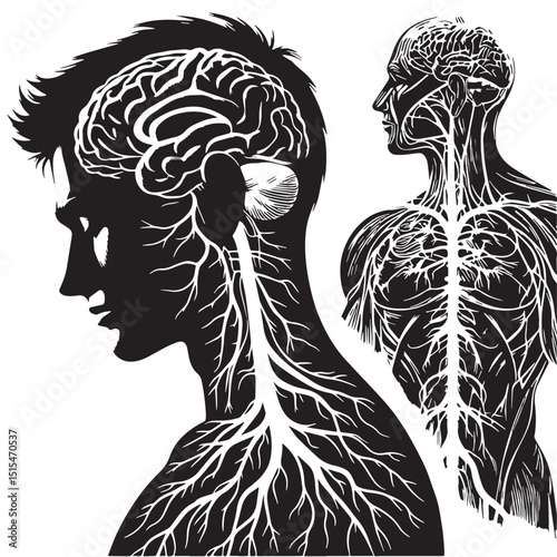 Black Color Nervous system Vector Illustration, Solid White Background