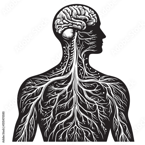 Black Color Nervous system Vector Illustration, Solid White Background