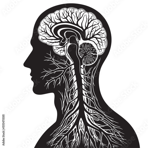 Black Color Nervous system Vector Illustration, Solid White Background