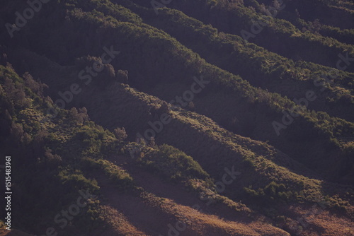 Natural patterns from the hillsides in the Bromo Tengger Semeru area. Mystical nuances, cold colors, somewhat blurred, and grain textured