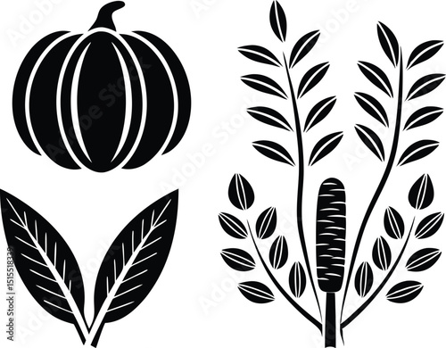 Black and White Vector Illustration of Pumpkin Leaves and Cattail Plant