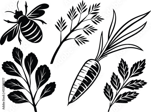 Black and White Vector Illustration of a Bee Carrot and Leaves