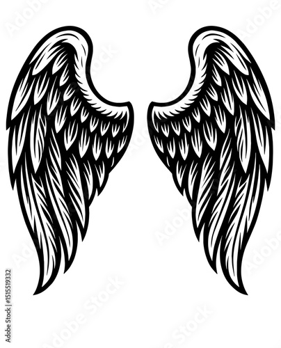 The wings of an angel or a bird are drawn in black and white