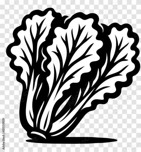 A black and white drawing of a bunch of leaves lettuce