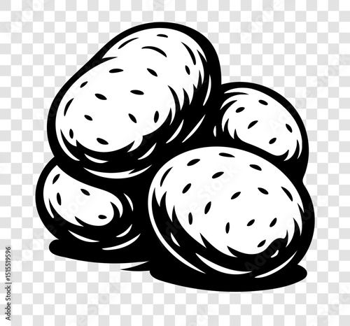 A close up of four large white potatoes