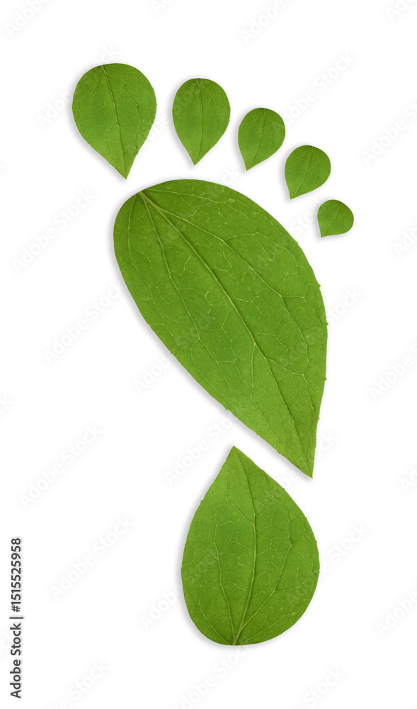 Human footprint made of green leaves on white background, top view. Environmental care, ecology protection, reducing CO2 emission Human footprint made of green leaves on white background, top view. Environmental care, ecology protection, reducing CO2 emission