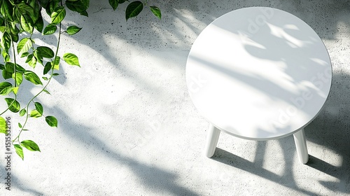 Overhead View of Empty White Round Table with Sunlight and Greenery