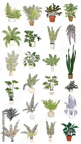 Create an Urban Jungle with Lush Greenery and Tropical Foliage: An Eco-Friendly Indoor Gardening Guide to Ornamental Plants and Decorative Houseplants