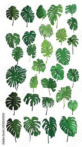 Exotic Green Monstera Leaves: Tropical Botanical Foliage Pattern for Decorative Nature-Inspired Artistic Design Background