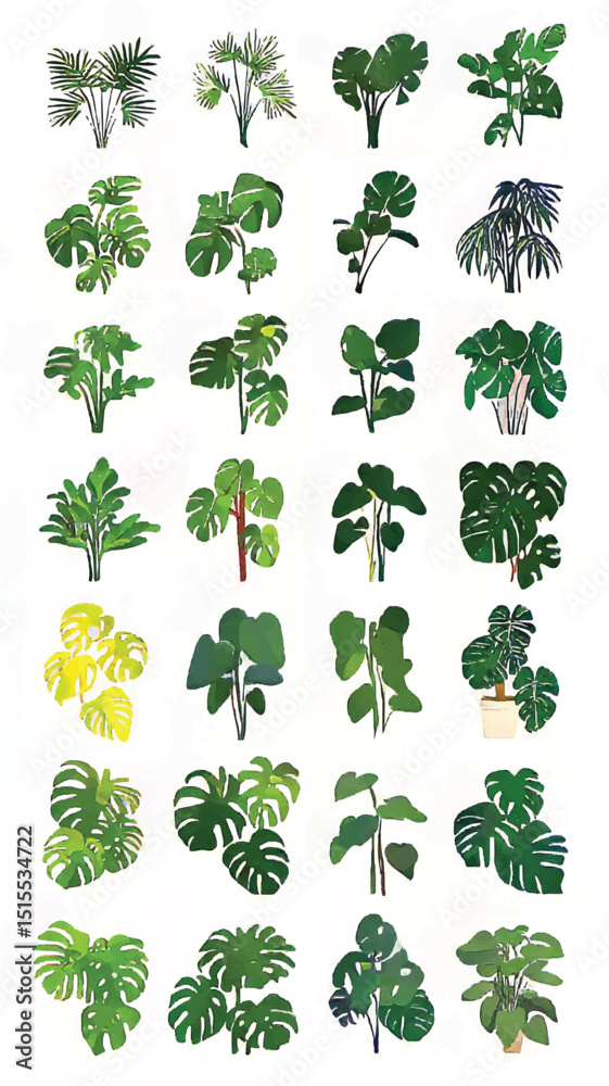Fototapeta premium Urban Jungle Bliss: Exotic Monstera Leaves and Xerophyte Delight Among Indoor Botanical Greenery