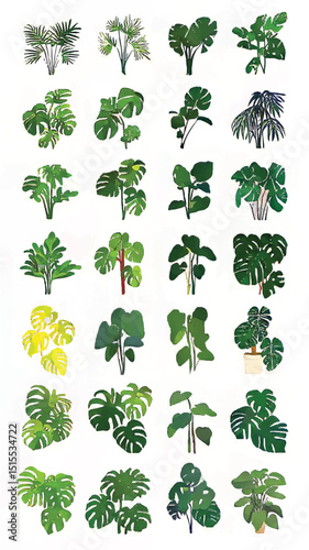 Urban Jungle Bliss: Exotic Monstera Leaves and Xerophyte Delight Among Indoor Botanical Greenery