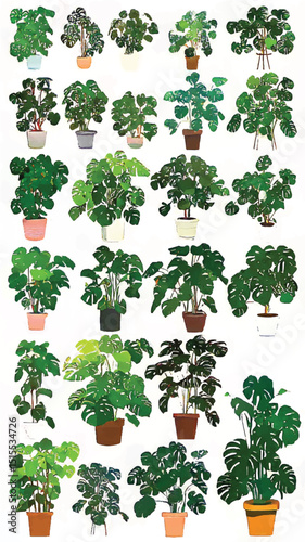 Lush Indoor Plants and Greenery: Botanical Illustrations for Eco-Friendly Home Decor