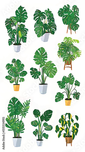 Eco-Friendly Indoor Gardening: Stylized Monstera and Tropical Foliage for Home Decor and Interior Design