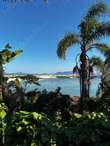 Fototapeta Naklejka Na Ścianę i Meble -  tropical beach with palm trees